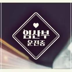 차량용 차용품 화이트 운전 - 자동차스티커 임산부 중 초보 보호 R2W49FC074