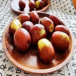 생대추보은생대추500g1kgGAP인증아 보은생대추24미리 1kg