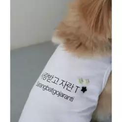 매장정품 SAINTVINE 사랑받고 자란 T 반려견 티셔츠