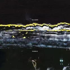 [CD] Gilla Band - Pugnello