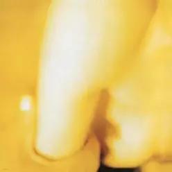 [LP] Smashing Pumpkins (스매싱 펌킨스) - Pisces Iscariot [2LP] /B-Side 모음집 (이달의 록 LP )