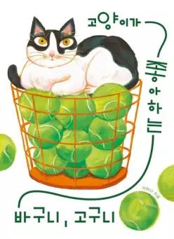 (예약판매)고양이가 좋아하는 바구니, 고구니