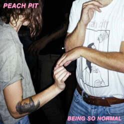 [LP] Peach Pit (피치 핏) - Being So Normal [LP]