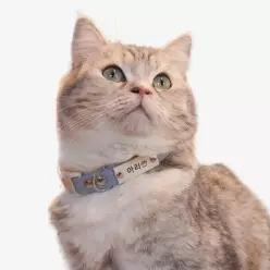 유봉펫 고양이 전용 인식표 이름표 목줄