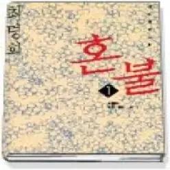[개똥이네] [중고 - 중] 혼불 1-10완