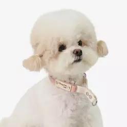 유봉펫 마틴게일 소형견 중형견 강아지 인식표 목줄