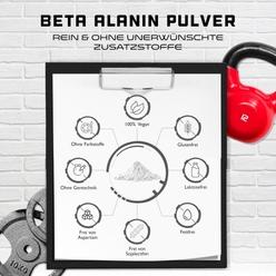 [해외](2팩 구성)독일 Gen German Elite Nutrition Beta Alanine 베타 알라닌 퓨어 파우더 500g