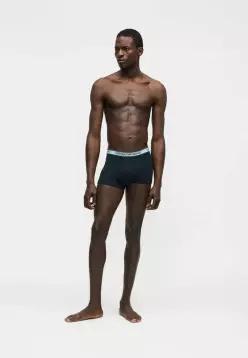 Emporio Armani 엠포리오 아르마니 코어 로고밴드 트렁크 3팩 - 블루 7797855