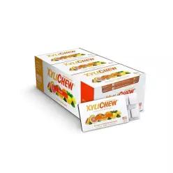 Xylichew 100프로 자일리톨 츄잉껌 프리 아스파탐 글루텐 껌 구취 건조 과일 60개 231159