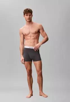 Calvin Klein 캘빈 클라인 속옷 3팩 - 트렁크 흰색 파랑 튤립 난기류 7797795