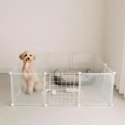 딩동펫 반려동물 강아지 투명울타리 소형 11p + 문