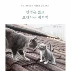 인생은 짧고 고양이는 귀엽지 - 어린 고양이들의 귀염뽀짝 성장 스토리