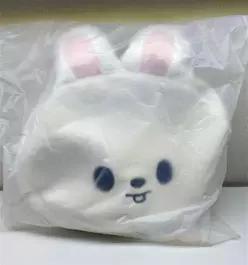 스트레이키즈 스키주 숄더백 SKZOO FACE BAG 리노 리빗 스키즈 팝업 굿즈