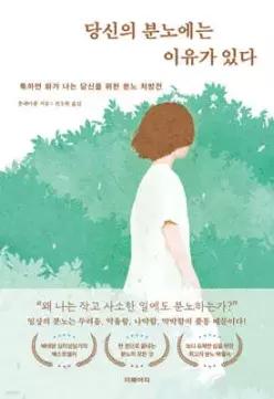 당신의 분노에는 이유가 있다 /툭하면 화가 나는 당신을 위한 분노 처방전