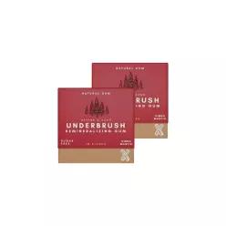 Underbrush Cinna-Mastic 재광화 껌, 제로 자일리톨, 2팩 449620