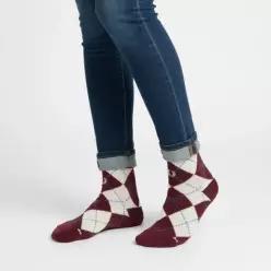 FRED PERRY 자가드 아가일 삭스 - 옥스 블러드에크루코트블루 CFPU2531152-Z63 271272