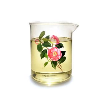 마타바 동백오일(정제) 500ml