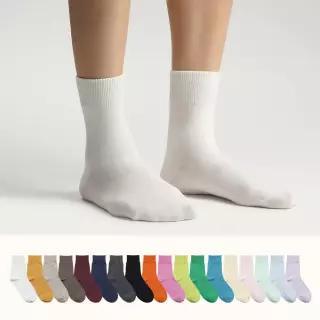 삭피엔스 8켤레 컬러가 예쁜 베이직 무지 여자 중목 양말
