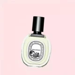 딥티크 오 드 뚜왈렛 필로시코스 50ml 2060991889 4903275