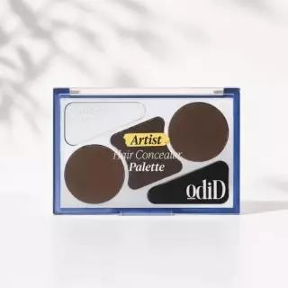 오디드 ODID 아티스트 헤어 컨실러 팔레트+()듀얼 브러쉬1개+핑크괄사