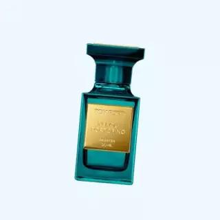 톰 포드 뷰티 NEW 네롤리 포르토피노 퍼퓸 향수 50ML TCXM010000 5042364