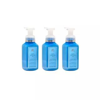 Bath  Body Works 포밍 핸드 솝, 크리스프 모닝 에어, 3팩 446782