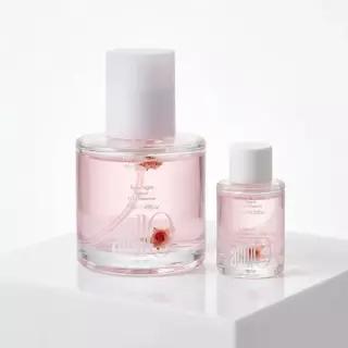 [열보호/손상모] 아닐로 로지나잇 리페어 헤어 에센스 오일 50ml+10ml 추가 증정