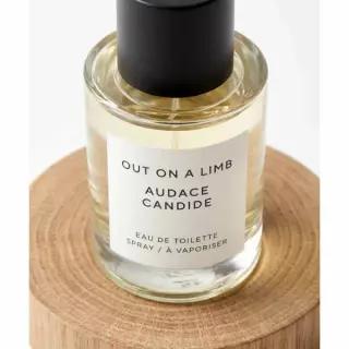 VEILMENT 더모먼트 아웃온어 림 EDT 50ML