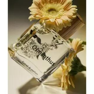 SEI LI 오스만투스 엑스트레 드 퍼퓸 50mL 4160939