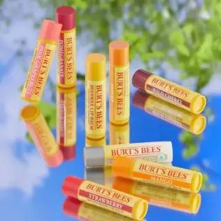 매장정품 BURTSBEES [3PACK] 모이스춰라이징 립 밤 4.25g 9종