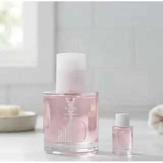[열보호/손상모] 아닐로 로지나잇 리페어 헤어 에센스 오일 50ml+10ml 추가 증정