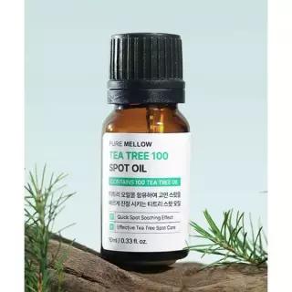 PURE MELLOW 티트리 100 스팟 오일 10ml 4167144