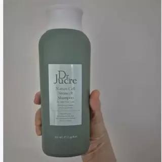 닥터쥬크르 줄기세포배양액 샴푸 500ml 1개 49215870 452675 마켓유니