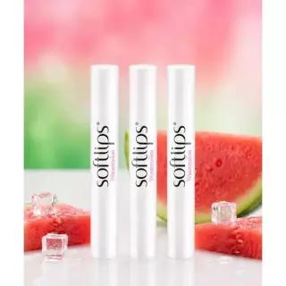 매장정품 MENTHOLATUM 3개 x [재벌립밤] 소프트립스 립밤 워터멜론 2g