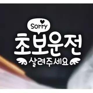 Sorry URX993I4 초보운전살려주세요 초보자동차스티커-화이트