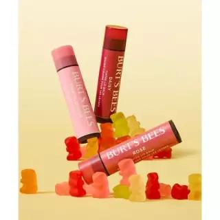 매장정품 BURTSBEES [3PACK] 틴티드 립밤 골라담기