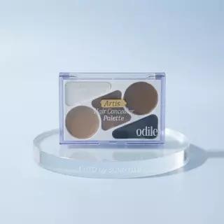 ODID 아티스트 헤어 컨실러 팔레트2개+(증정)듀얼 브러쉬2개+헤어오일30ml