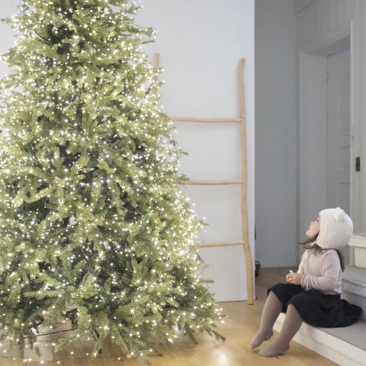 노르웨이숲 210cm