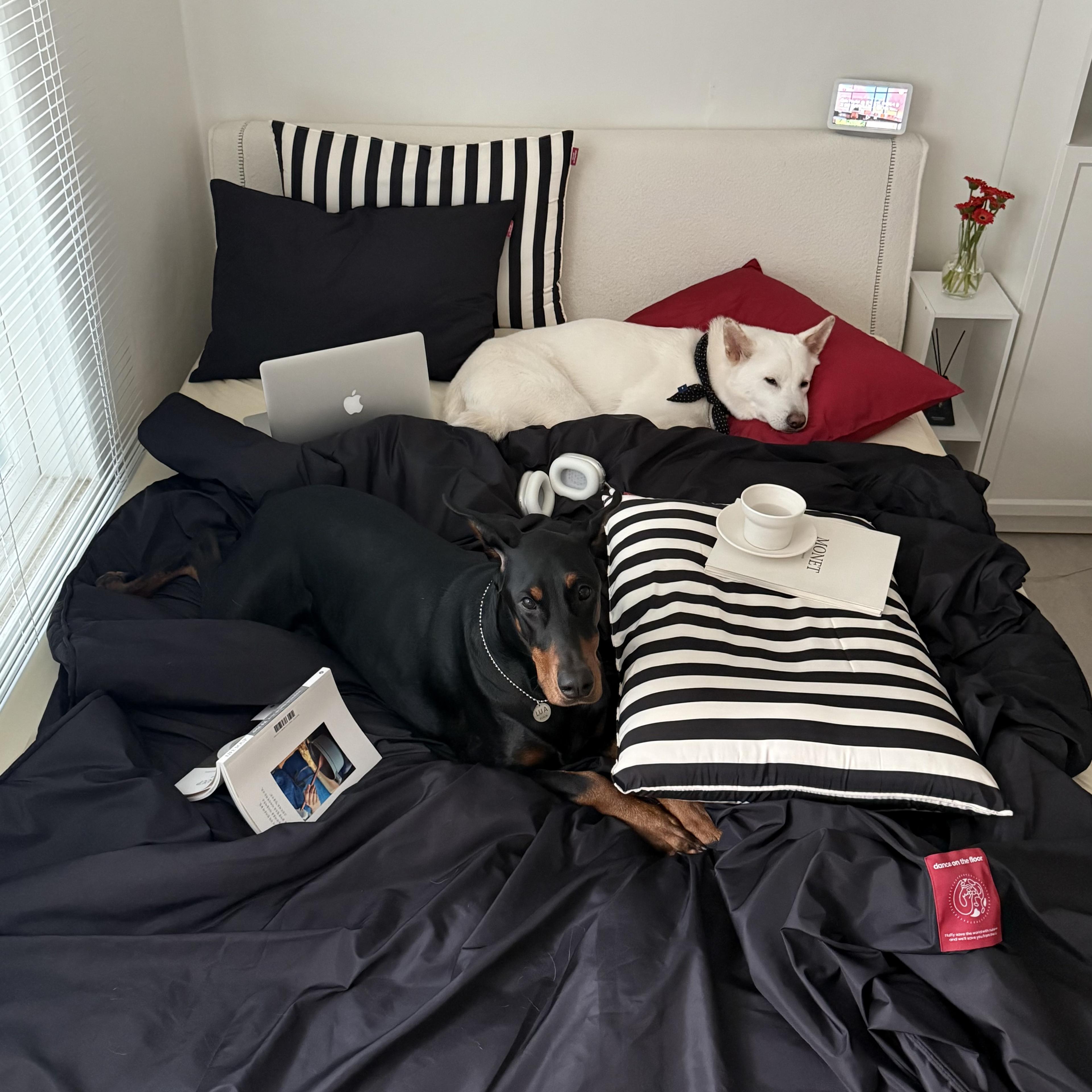 Furless Bedding 털안붙는 리버서블 차렵이불+베개커버 세트 블랙 (SS/QK)