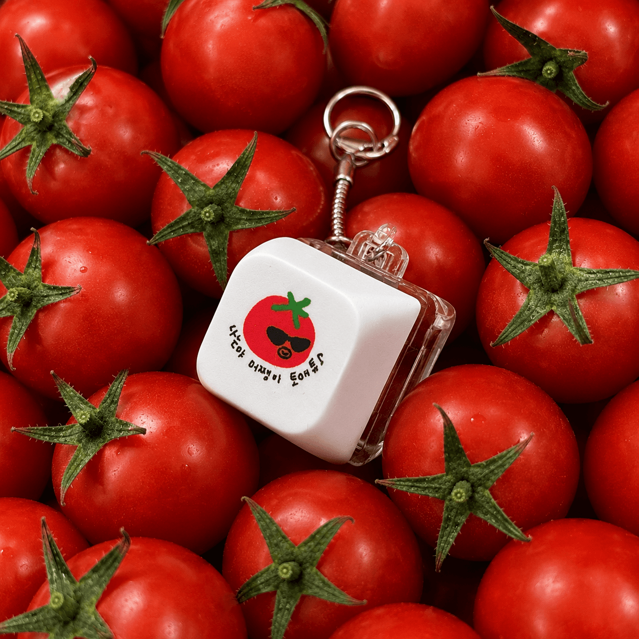 Tomathew Keycap keyring 멋쟁이 토매튜 키캡 키링