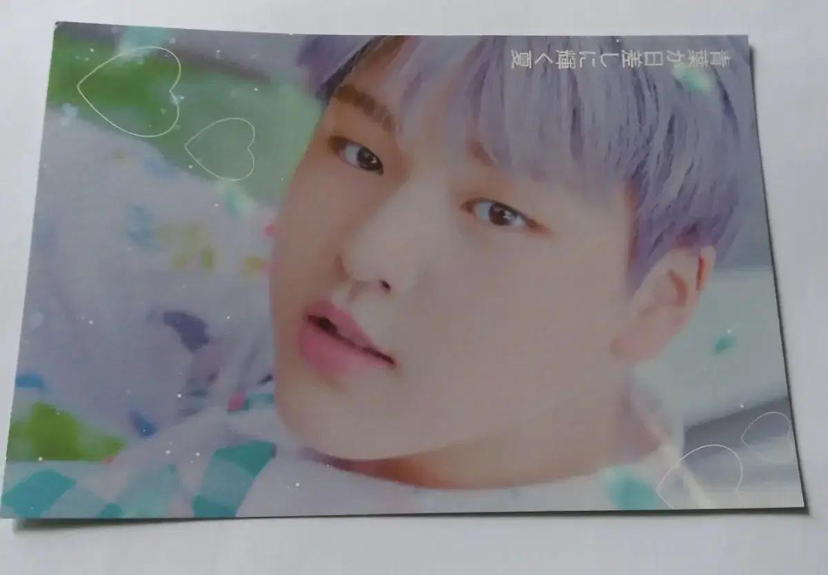 남도현 엽서 양도