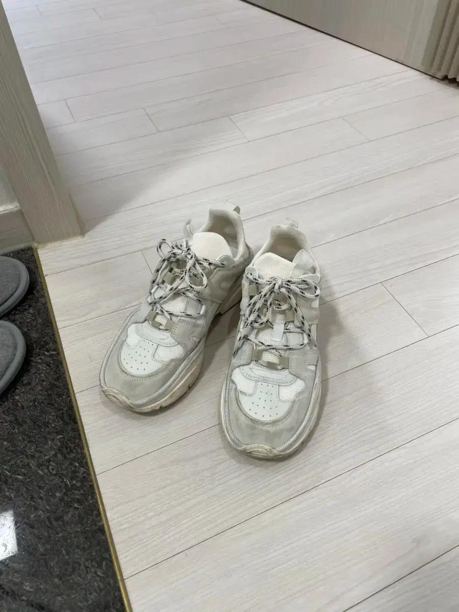 이자벨마랑 킨지 41 사이즈