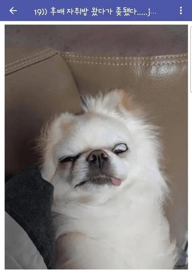 로렉스 금반지 구해요 구매