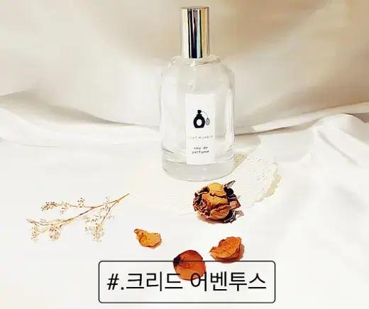 C 크리드 어벤투스