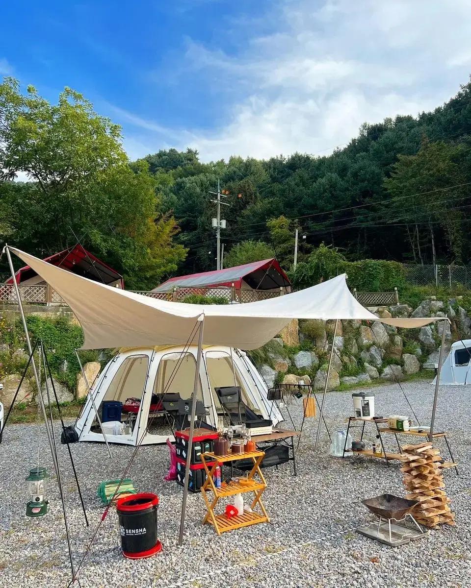 돔 면 텐트 판매(씨에르보)