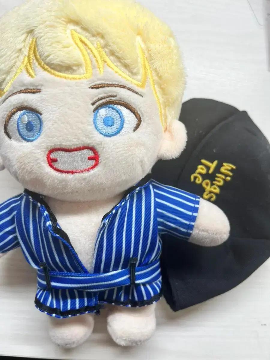 윙즈태 인형 방탄