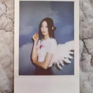 르세라핌 팝업 특전 포카 및 폴라 양도
