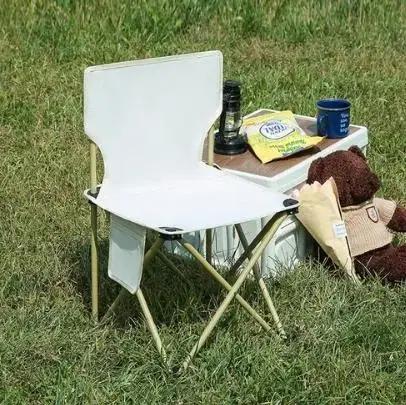 (무료배송) 캠핑 의자  접이식 미니 유아 성인 휴대용 가방 포함