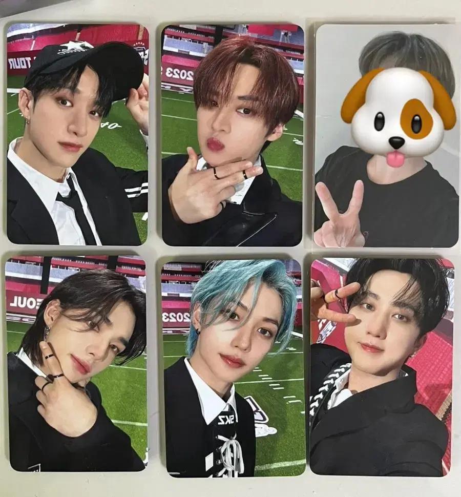 스트레이키즈 콘서트 스테이존 포카 사웨 럭드 포카