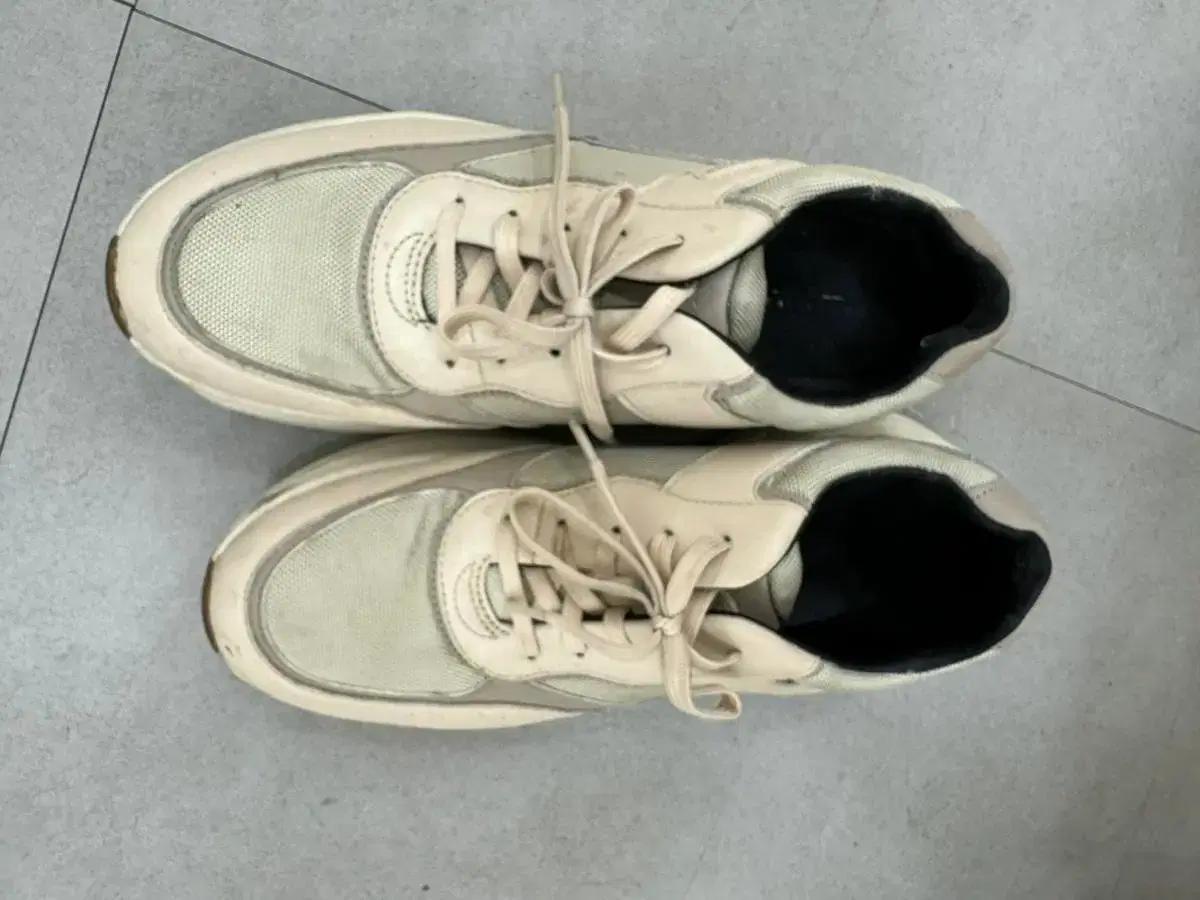 락포트 럭셔리 정품 스니커즈 상태 최상/10-4